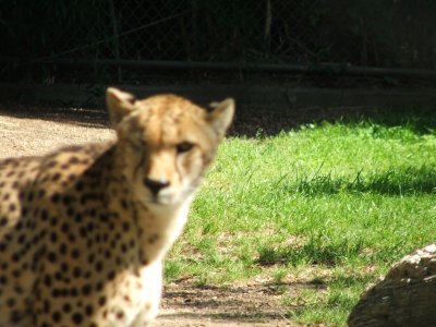 Dallas Zoo