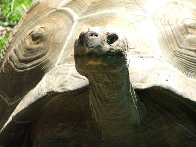 Dallas Zoo