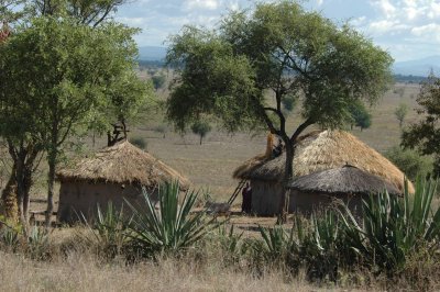 Traditional mud huts