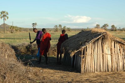 Cattle herd tending hut
