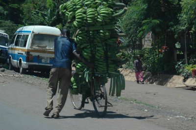 Life is hard on man and bicycle