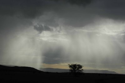 Beginning of the rainy season