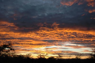 Dawn