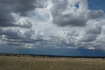 Northeastern Seringeti before the migration