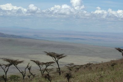 Looking back at the plain