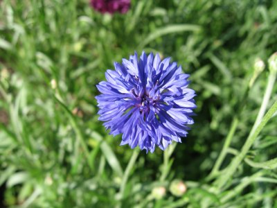 image1.JPG