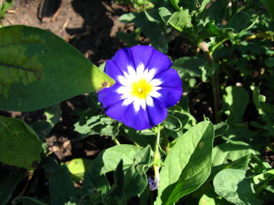 IMG_1700.JPG
