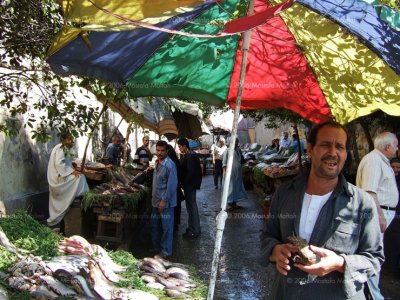 Fish Market