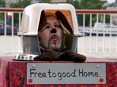 Free to Good Home