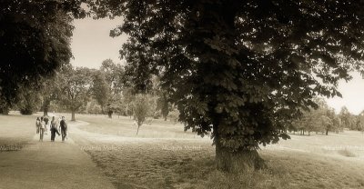 The Hyde Park 04