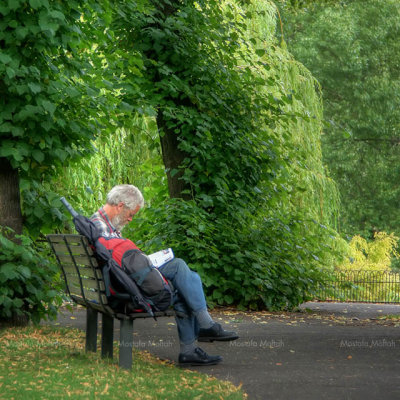 Reading Time - HDR