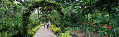 National Orchid Garden - Panorama