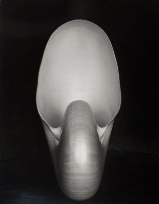 Edward Weston's Nautilus