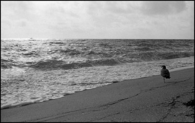 Haulover Beach