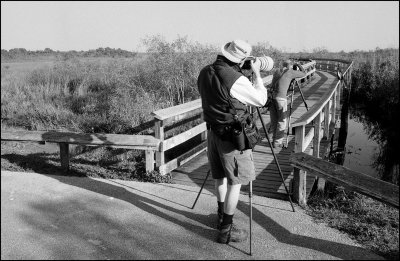 Bird photographers