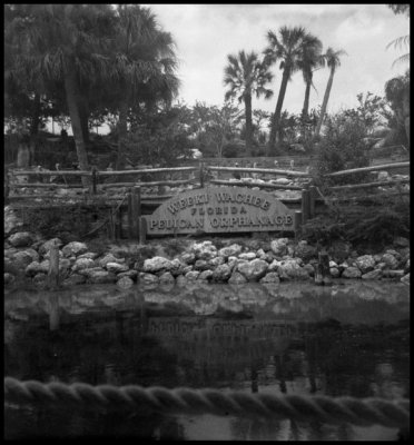 Florida Vacation with Kodak Flashfun Hawkeye camera