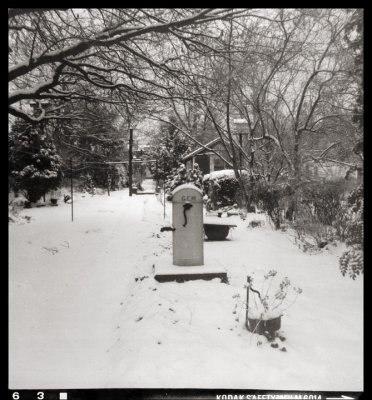 127 Kodacolor II: Winter morning in Maryland