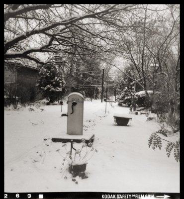 127 Kodacolor II: Winter morning in Maryland