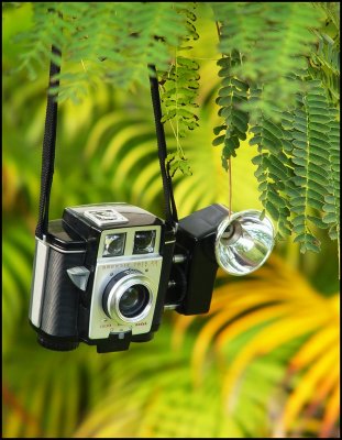 Kodak Brownie Twin-20 camera