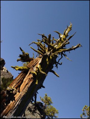 Carscade Lake Trail