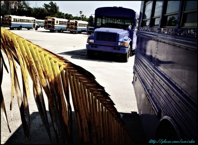 Buses at Haulover Beach parking lot