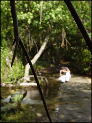 DSC00875pr1sm.jpg