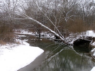 Creek.jpg