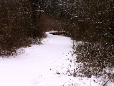 Snowy path.jpg