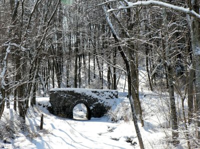 Snowy Bridge.jpg