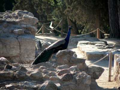 Crete