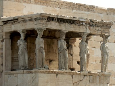 Athens - Catydids.jpg
