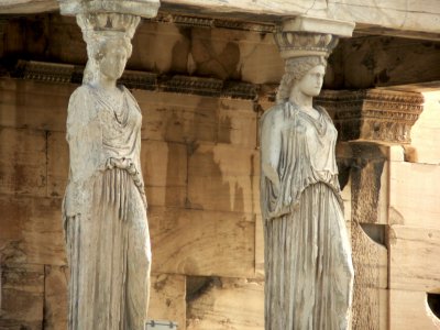 Athens - Catydids 2.jpg
