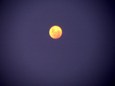Moon over Cruise Ship.jpg