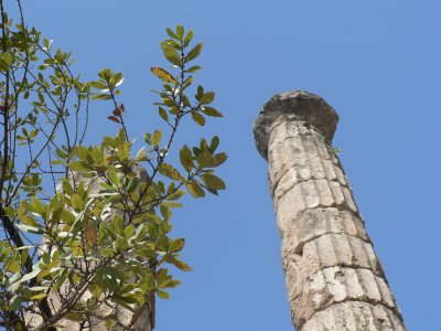Delphi - Columns 3.jpg