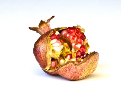 pomegranate -19.jpg
