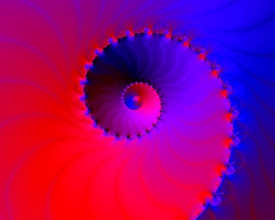 fractal nautilus