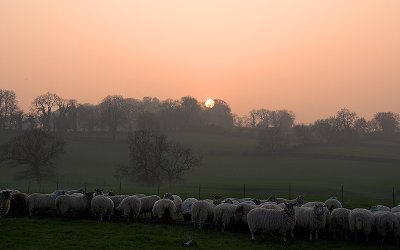 Misty Cotebrook Sunset