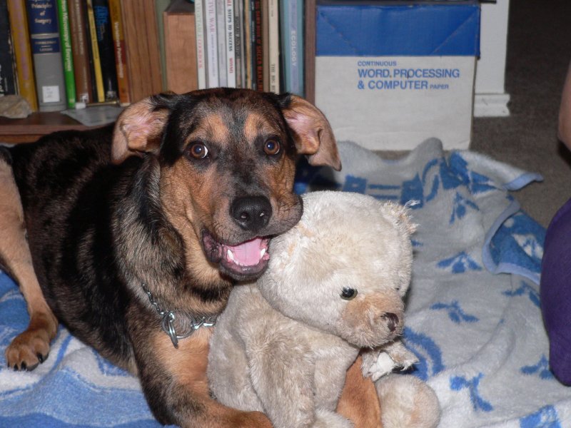 Eddie and his bear gnawing the ear .jpg