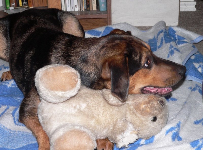 Eddie and his bear wana try and  take it from me .jpg