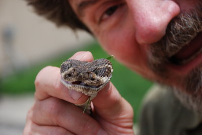 Say Hello to my little friend!   Photo by Pam Henry