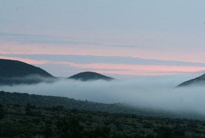 Dawn Fog @ GUMO