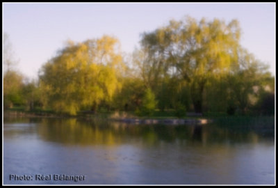 PB Jardin Botanique.jpg