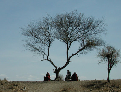 3 Men and a Tree (Maasai village)
