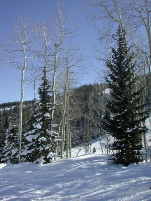 Colorado - Ski slope