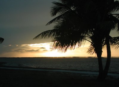Florida sunset2