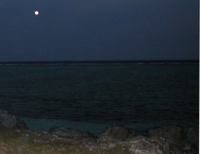 Moonlight on Zanzibar