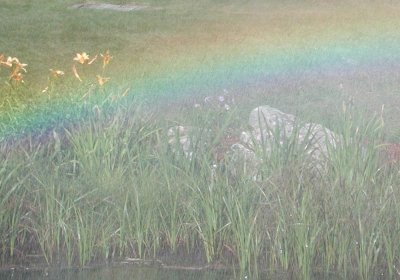 NH rainbow