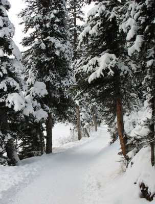 Lake Louise, Canada - snowy path