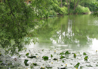 Tolstoy's estate, pond