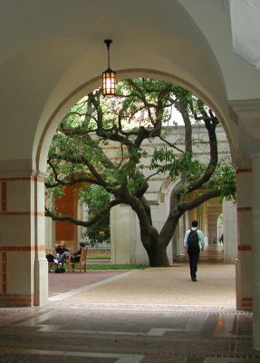 Humanities archway - Rice University